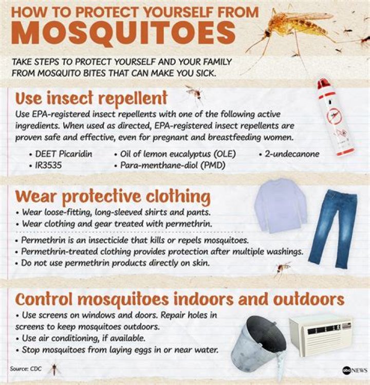 Unraveling The Mystery: Are Mosquitoes On The Beach?