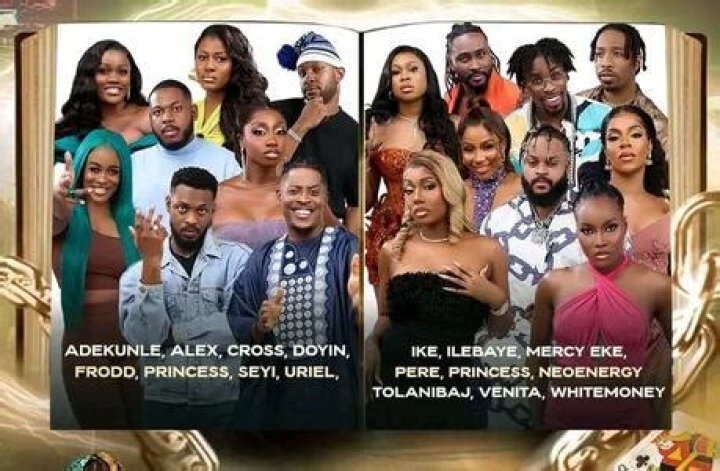Big Brother Naija All Stars Voting Poll