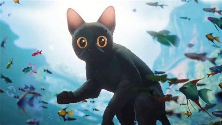 Unleashing The Fun Of Catmovie HD: Your Ultimate Cat Cinema Experience