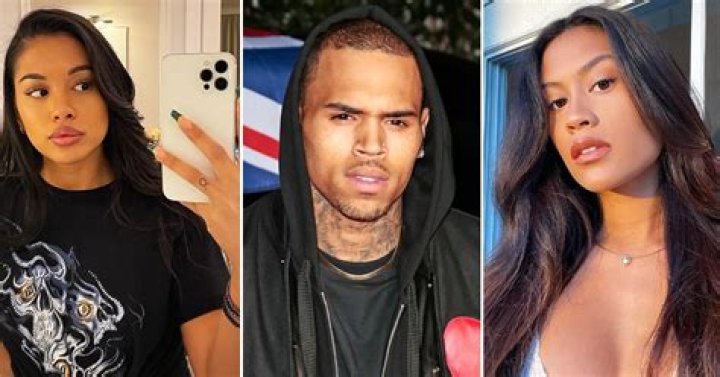 Chris Brown's Baby Momma Drama: The Complete Story