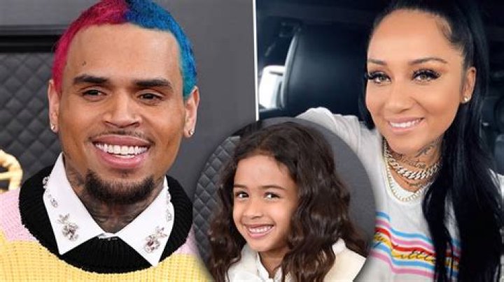 Chris Brown's Baby Mama Drama: A Timeline