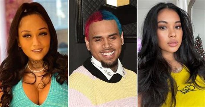Chris Brown's Baby Mama Drama: Uncovering The Truth