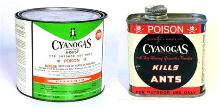 Essential Cyanogas Guide: Properties, Applications, And Safety