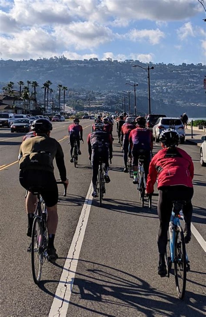 Dan Mitnick: The Maven Of Digital Marketing