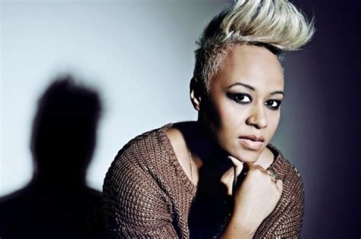 The Incredible Sound Of Diane Sande: A Musical Journey