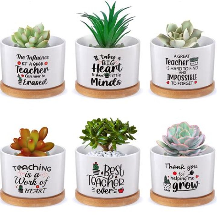 Flower Puns For Teachers