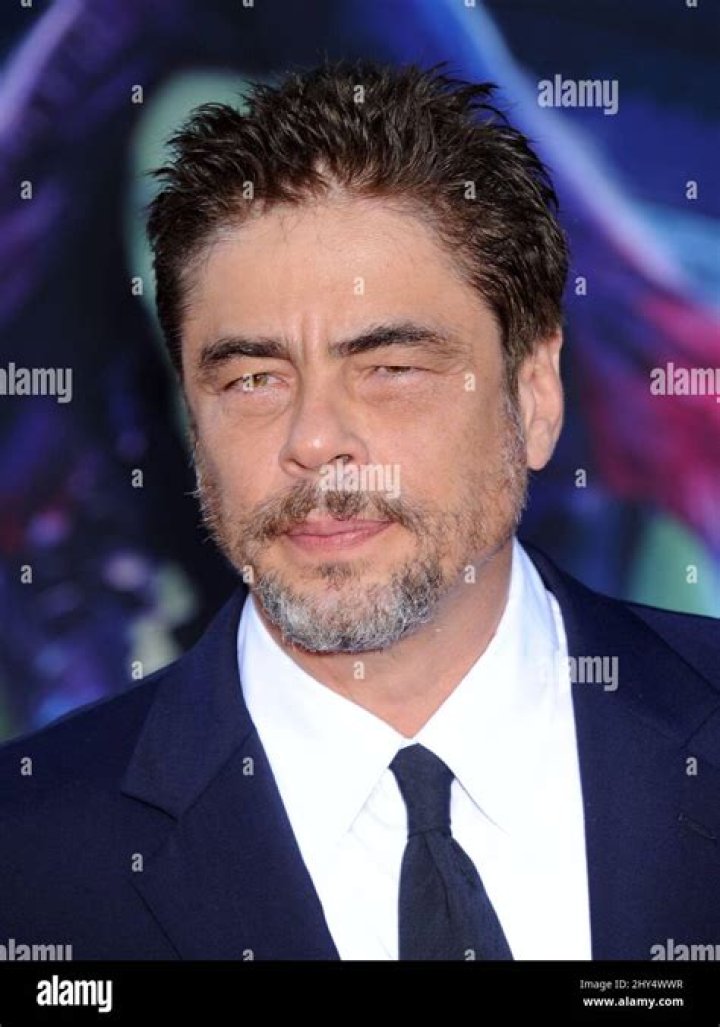 Exploring The Unique Bond Between Guillermo Del Toro And Benicio Del Toro