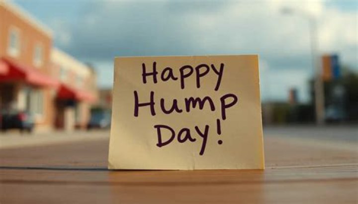 Happy Hump Day Quotes And Images