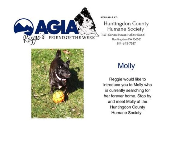 The Ultimate Resource For HC Kerstetter: Everything You Need To Know