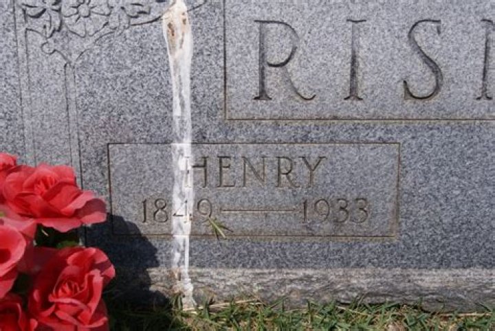 The Ultimate Guide To Henry Risner: Discover His Life And Legacy