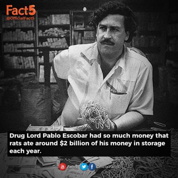 Pablo Escobar's Staggering Net Worth: Uncovering The Drug Lord's Riches