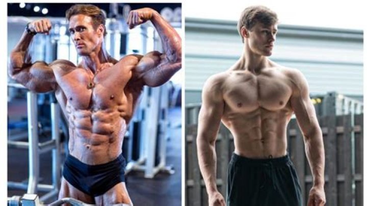 How Tall Is David Laid