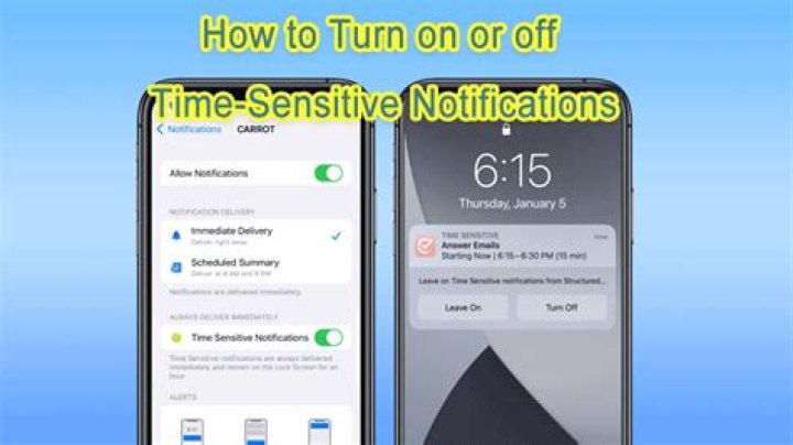 How To Turn Off Time Sensitive Notifications