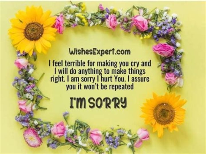 I'm Sorry I Hurt U Quotes