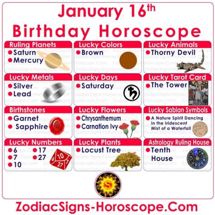 Everything You Need To Know About The January 16 Zodiac Sign