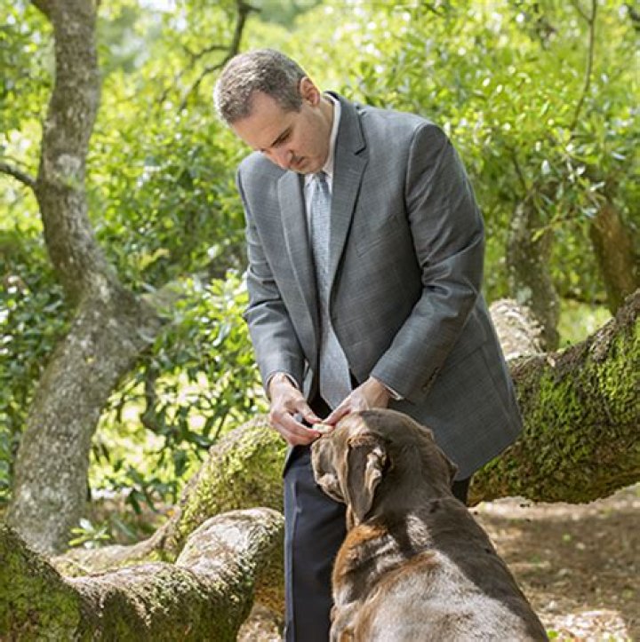 Unveiling The Genius Of John Rabelais: A Literary Titan