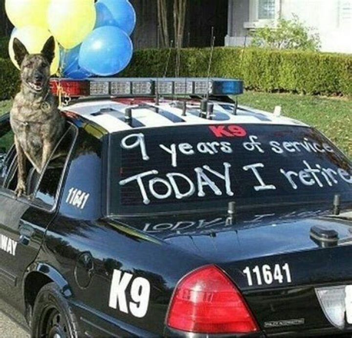 Leonard Letoto: Renowned Architect And Innovator