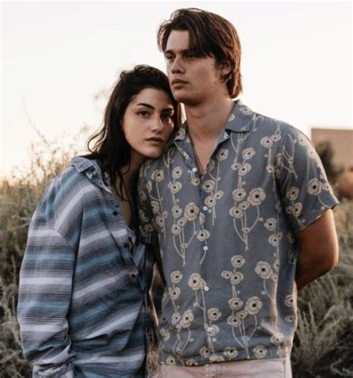 Top-Notch Lilli Trans Services: Enhancing Your Online Presence