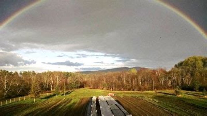 The Lincolnville Bulletin Board: Your Local News And Information Hub