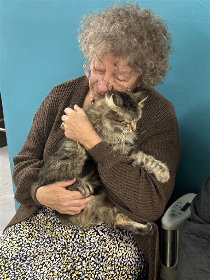 Get To Know The Inspiring Journey Of Linda Schoon