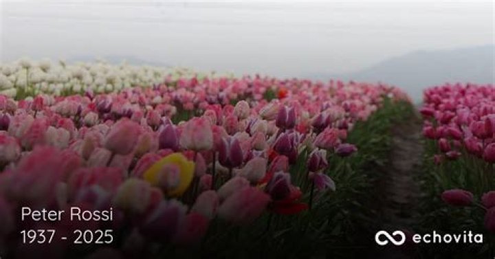 In Memoriam: The Legacy Of Louis Rossi