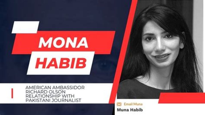 Mona Habib: The Trailblazing Journalist Shaping Modern Media
