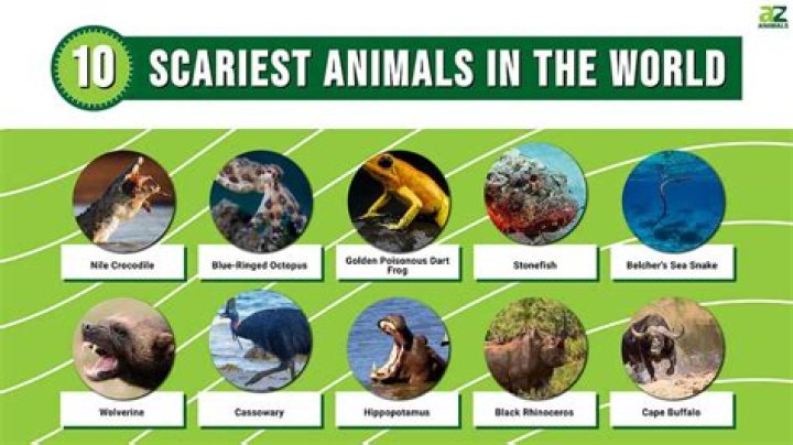 Most Scariest Animals On Earth