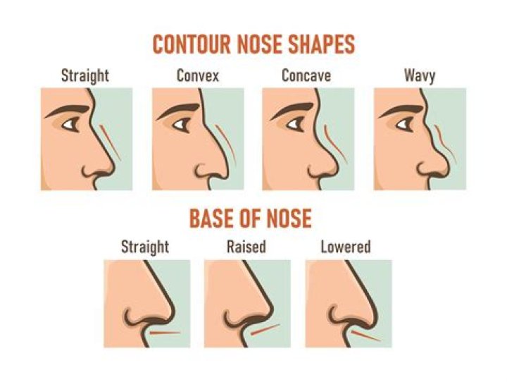 Nose Shapes Names