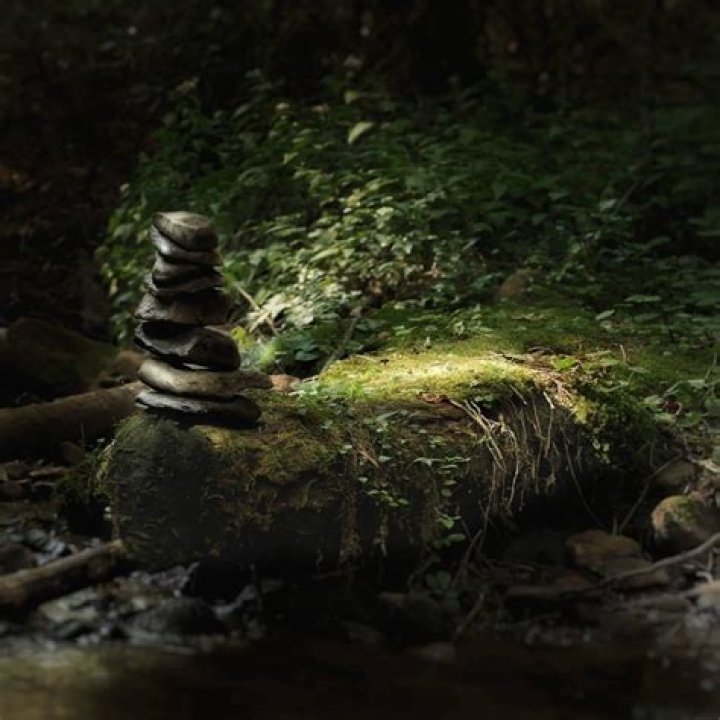 The Unstoppable Patrick Dunfee: Inspiring Success And Motivation