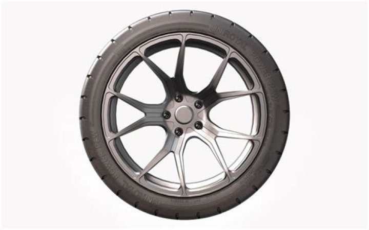 The Essential Guide To Pawing Your Way To Success