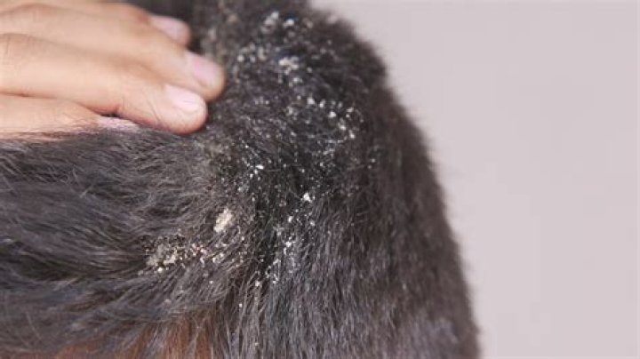 Best Montana Jordan Movies And TV Shows | Must-Watch Recommendations