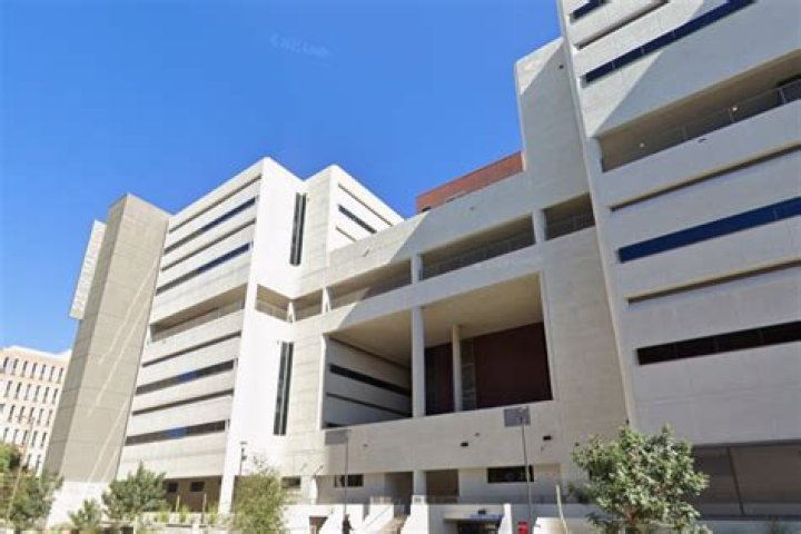 The Phoenix Rebirth: A Father's Journey Of Transformation