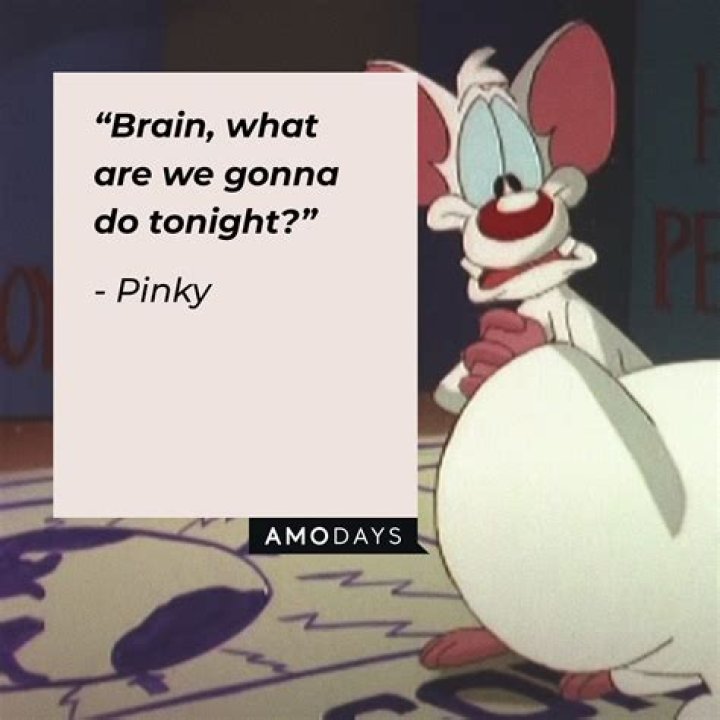 Pinky And The Brain Quotes