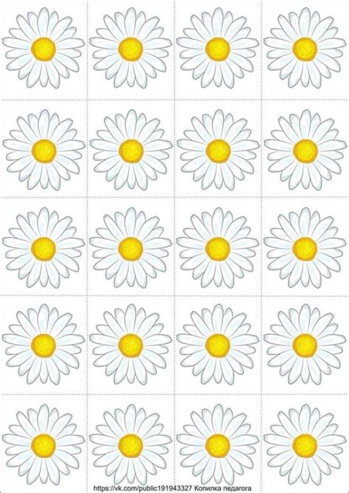 Essential Guide To Public19: Unlock Your Digital Banking Experience