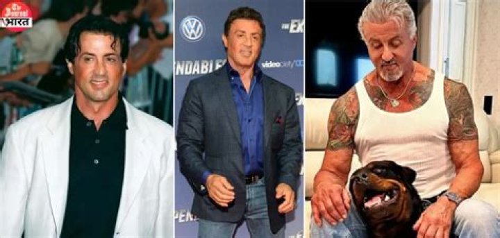 Silvester Stallone's Staggering Net Worth: A Hollywood Icon's Earnings Unveiled