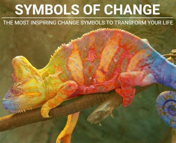 The Ultimate Guide To Symbols Of Change: Unlocking Their Power And Meaning