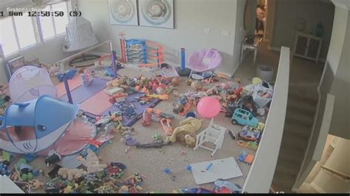 Uncovering The Evidence In The Tristyn Bailey Case: A Comprehensive Look