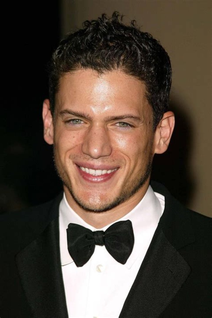 Exploring The Life And Career Of Wentworth Miller