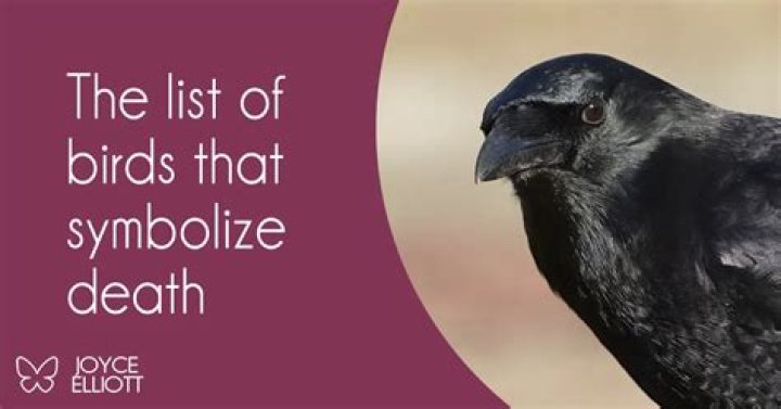 Unveiling The Mysteries: What Bird Is Associated With Death?