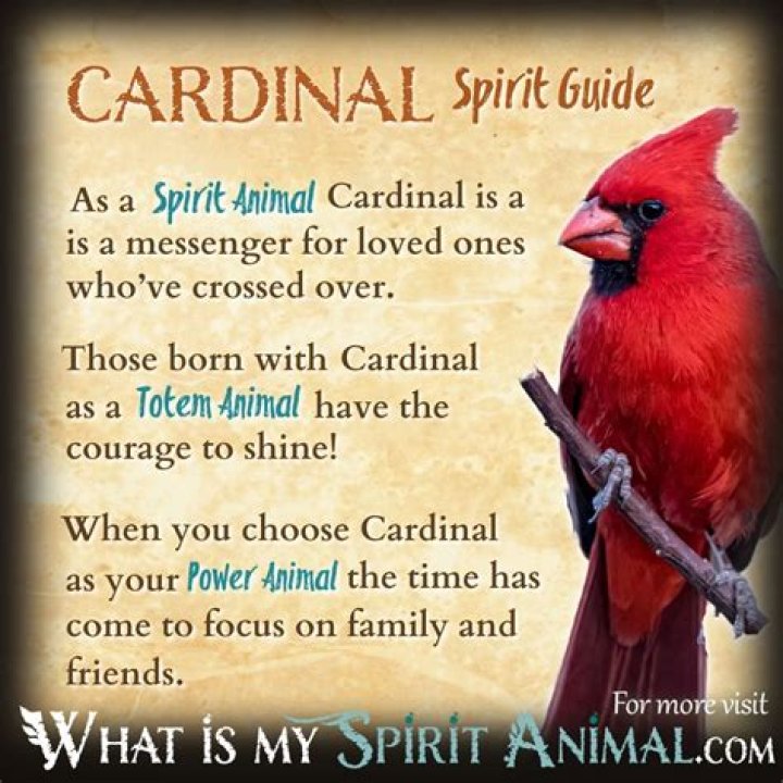 What Do Cardinals Represent
