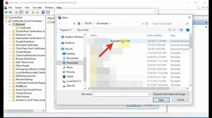 Unraveling The Mystery Of P12: A Comprehensive Guide
