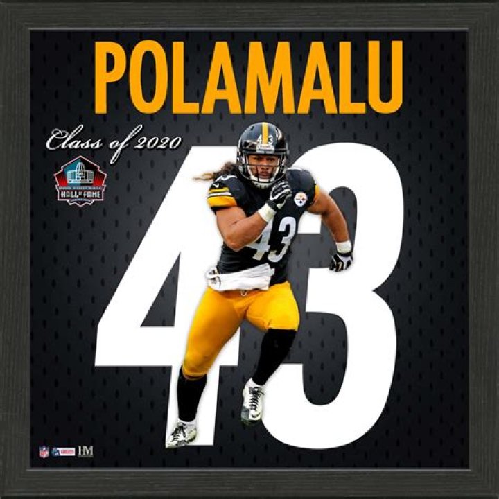 Discover The Identity Of Troy Polamalu's Beloved: Who Did He Marry?